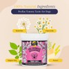 Proflax Natural - Tummy Tastic Supplement 700g - Dog Supplements