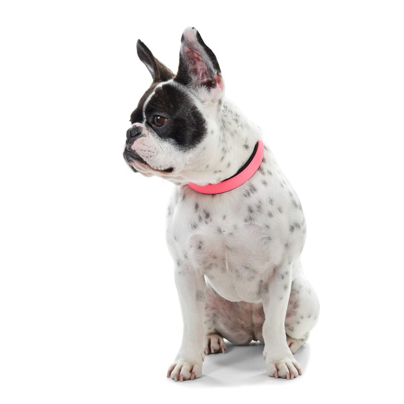 Hunter - Comfort Collar 42-50 cm Convenience pink