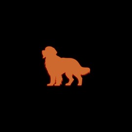 Golden Retriever Dog Silhouette Glow in The Dark Sticker Decal for Phone Tablet Laptop Car Truck Window | 4" Sticker | Orange