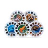 View Master Classic with Discovery Kids Reels - Metallic Viewfinder