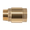 1 inch One-Way Brass Check valve for Well Pump, 1"