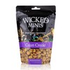 Wicked Minis Soup & Oyster Crackers - Saltine Crackers Salted