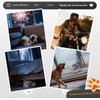 Orejeras Contra Ruido Para Perro, Ajustables Protector, Audifonos Para Pirotecnia