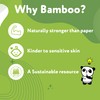 The Cheeky Panda Bamboo Toilet Paper Bulk | 12 Family