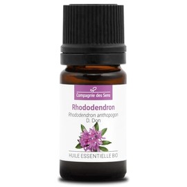 Rhododendron (Rhododendron Anthopogon) Organic - 5 ml - Premium Quality Essential Oil - 100% Pure, Natural, Chemotyped & Full Spectrum