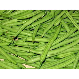 PAPAW'S GARDEN SUPPLY LLC. Helping The Next Generation Grow! Blue Lake Heirloom Bush Bean Seeds, Non-GMO, 1 Pack of 200 Vegetable Seeds