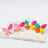 Handmade 4 Colors Raffia Dangle Earrings for Women Boho Cute