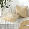Stellhome Pack of 2 Soft Textured Throw Decorative Pillow Covers