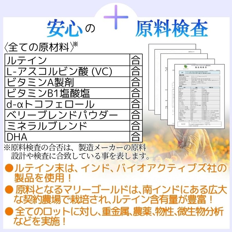 ルテイン 60mg 【全21成分 製薬会社製造】6個セット ゼアキサンチン ブルーベリー 目 サプリ ミエールアイ