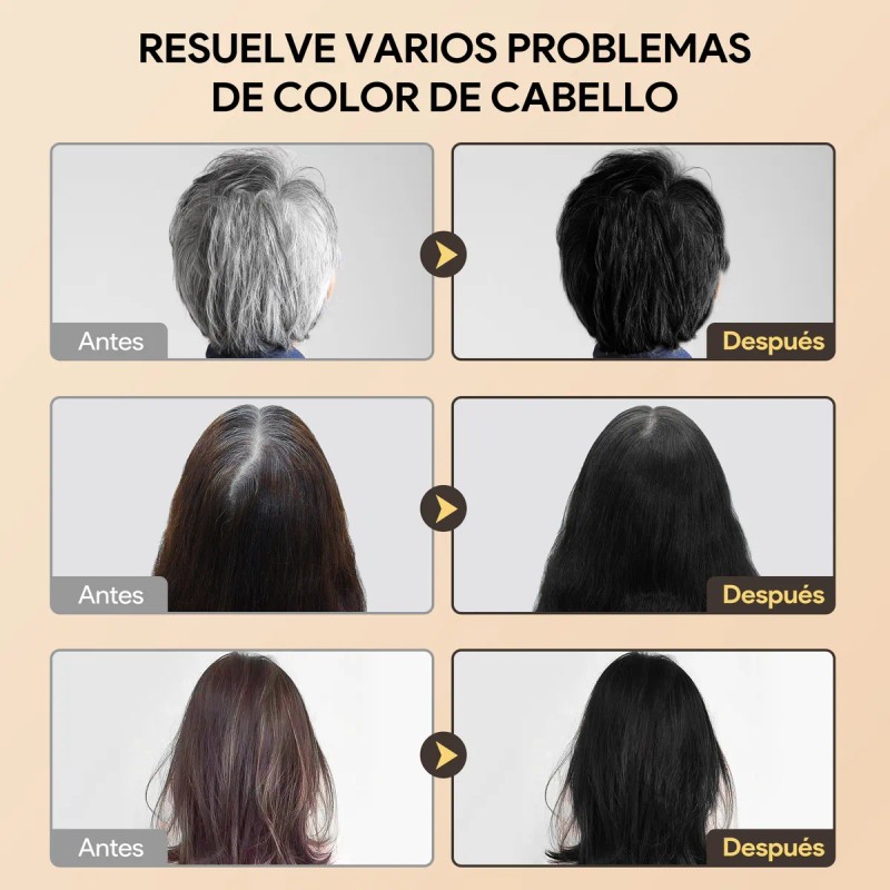 Shampoo Con Tinte 15min Cubre Canas Contiene Aceite De Argn
