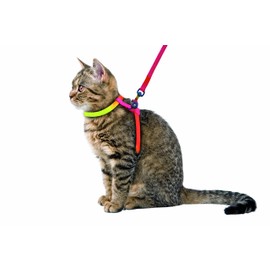 Kerbl Rainbow Harness-Set for Cats, 10 mm/ 120 cm