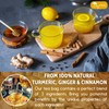 TOG999, 60 Bags Premium Turmeric Ginger Cinnamon Tea. Upgraded Version.