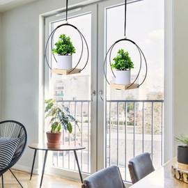 Toyosport 4 Pcs Plant Hanger with Wood Base, Hanging Window Planter, Boho Nordic Style, Ideal for Home and Balcony Decoration, Black