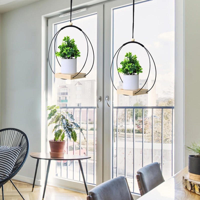 Toyosport 4 Pcs Plant Hanger with Wood Base, Hanging Window