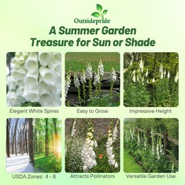 Outsidepride Digitalis Purpurea Alba White Foxglove Seeds – 5000 Pcs Biennial, Prolific, Tall Growing Flower Seeds with Pollinator-Friendly Blooms for Shaded Gardens & Outdoor Landscapes