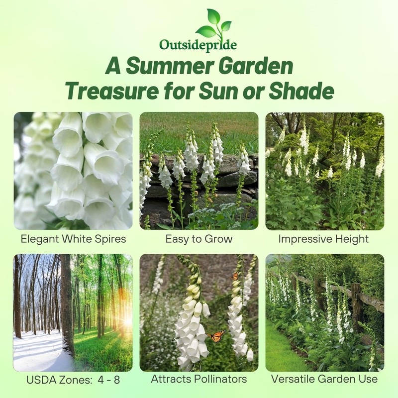 Outsidepride Digitalis Purpurea Alba White Foxglove Seeds – 5000 Pcs