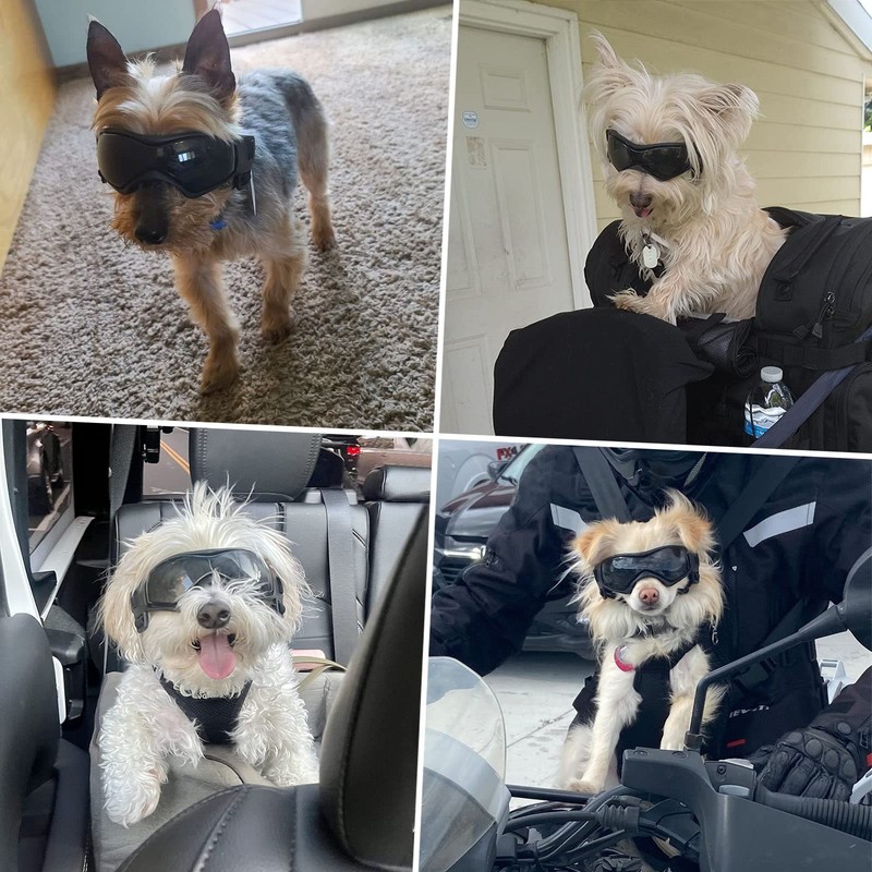 PETLESO PETLESO Dog Goggles for Small Breed Anti-UV Windproof Eye