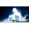 Pantenger Té Verde Matcha Orgánico en Polvo 99 G Organic