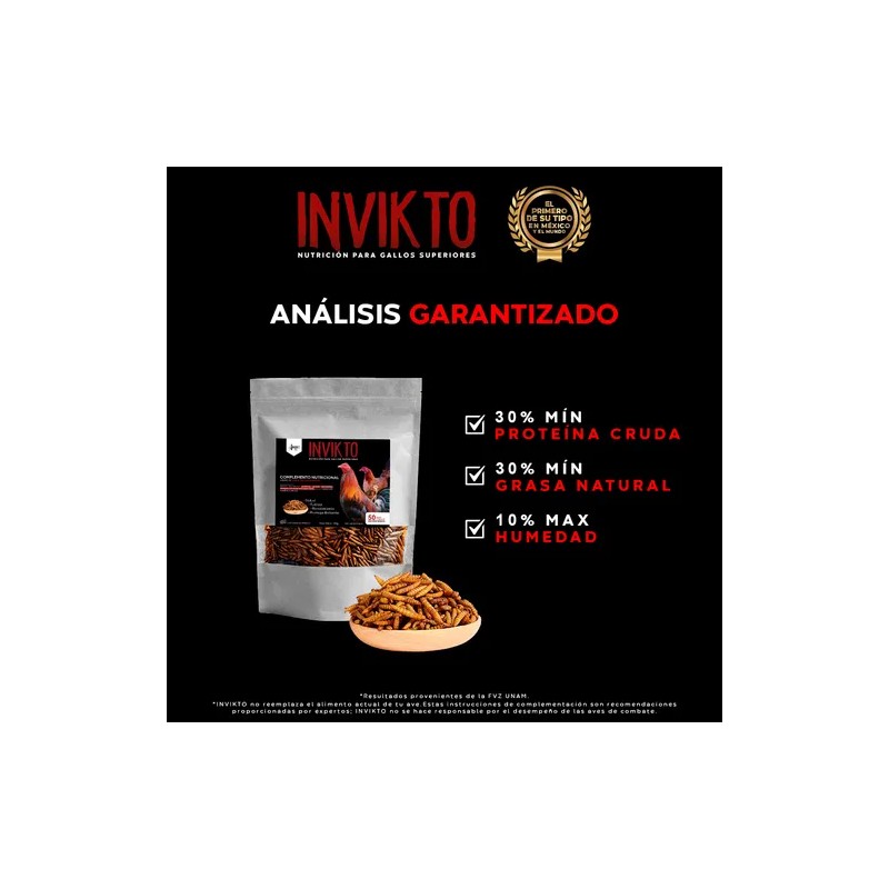 Suplemento Para Gallos De Combate Alimento Proteína Insecto