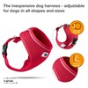 Curli Basic Harness Air-Mesh Red M