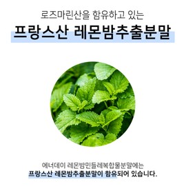 Lemon Balm Dandelion Dandelion Extract / 레몬밤단델리온 민들레추출물