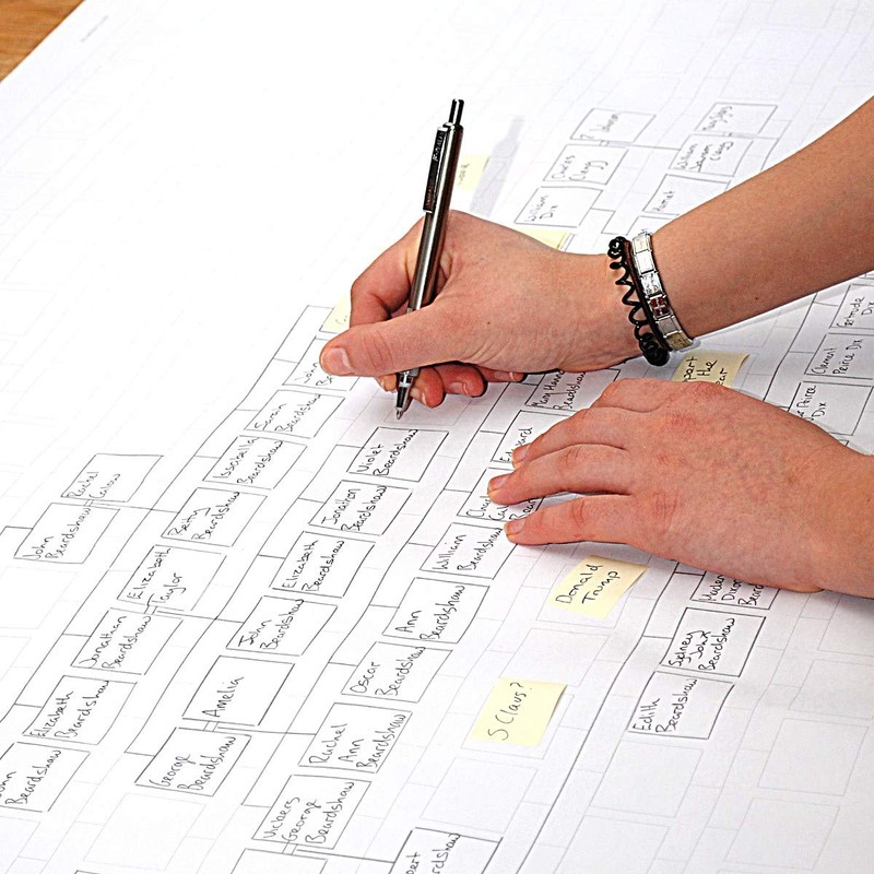 My History Family tree working chart (14 generations tall, 5