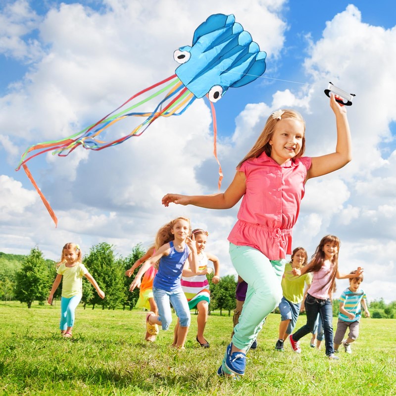 Hillylolly Octopus Kite, Large, Flight Kite, Single Line, Wind Kite