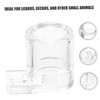 SUPVOX 2Pcs Ant Water Feeder Reptile Waterer Transparent Ant Feeding