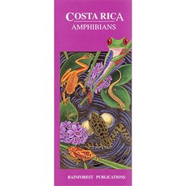 Costa Rica Amphibians Wildlife Guide (Laminated Foldout Pocket Field Guide) (English and Spanish Edition)
