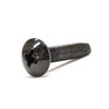 [M4x20] Tap Type Screws, S Type, Truss Head, Trivalent Black