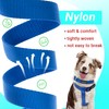 No Pull Dog Harness - Step in Dog Harness and