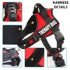 Just 4 Paws Therapy Dog Harness Jacket with Padded Handle