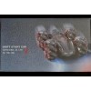Guangdong Car Drift Stunt Car REMOTE MISSING. Age 6+