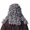 ORLOB KARNEVAL GmbH Curly Wig Judge Gray Nobleman Lord Nobleman