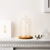 Lights4fun Regular Glass Cloche Bell Jar Display Dome with Wooden