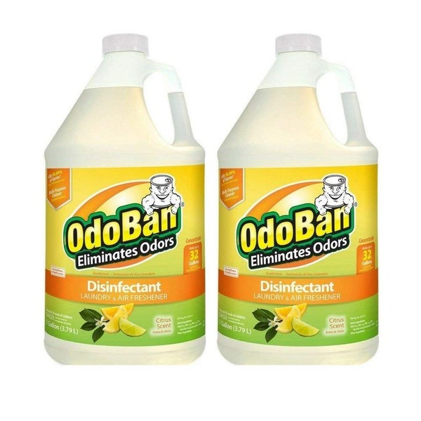 OdoBan Citrus Odor Eliminator and Disinfectant Multipurpose Cleaner Concentrate, 2 Gal, 3.79 Litre (2 Count),