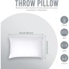 Utopia Bedding Throw Pillows (Pack of 2, White), 12 x