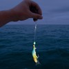 LALAFINA 7pcs Luminous Evil Lure Points with Abrasion Resistant Material
