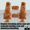 4 Piezas Cepillo Quita pelo Demascotas Accesorios, Aspiradora pelo Demascotas