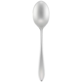 荒澤 Edison Al Facts Jeanne? Yes, Well, Teaspoon, 18 – 10 Stainless Steel 5805