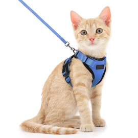 Voarge Cat Harness, Adjustable with 150 cm Leash, Safety Cat Harness for Small Medium Large Adult Cats, Puppies, Cat Harness for Walking Travel(Blue, XS)
