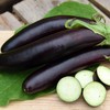 CEMEHA SEEDS - Eggplant Aubergin Black Long Pop Thai Non