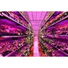 Full Spectrum LED Plant Growth Light Board Supplement Light for