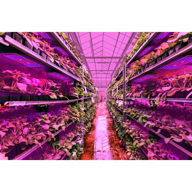 Full Spectrum LED Plant Growth Light Board Supplement Light for
