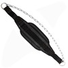 Faswin Dip Belt with 32 Inches Heavy Duty Steel Chain