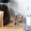 HERE Squirrel & Nuts (Gold)