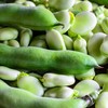 PREMIER SEEDS DIRECT - Broad Bean - Masterpiece Green -