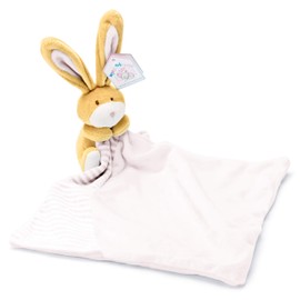 Mousehouse Gifts Cute Super Soft Plush Blanket with Teddy Comforter for Newborn (Pink Bunny)