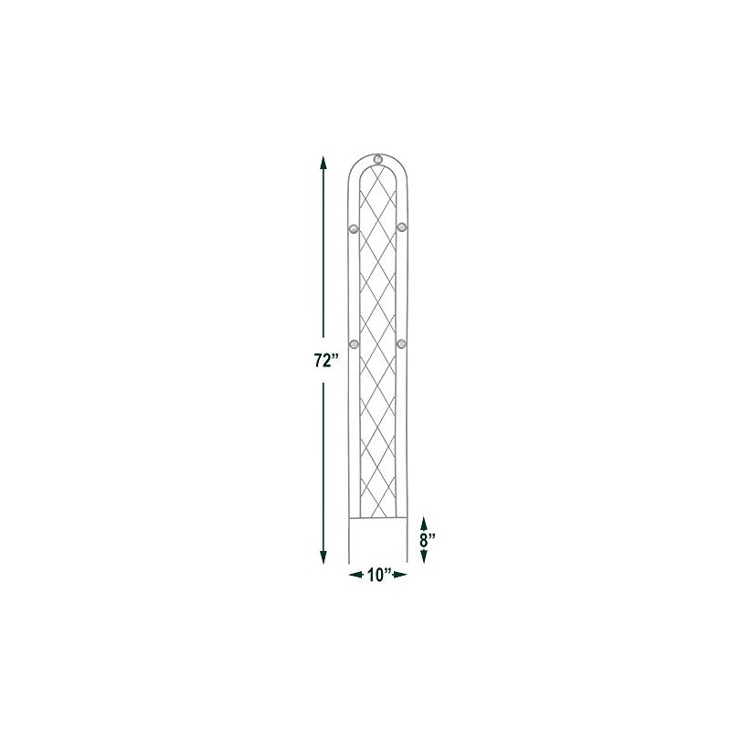 Arcadia Garden Products TR03 Arched Garden Trellis 6' x 10",