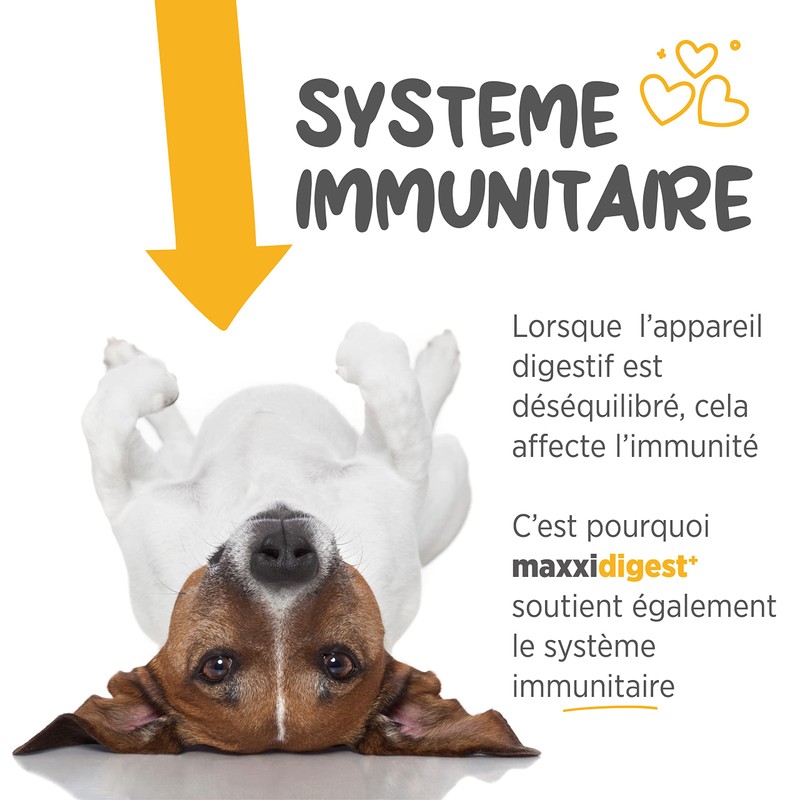 maxxipaws maxxidigest+ Probiotic & Prebiotic Powder Supplement - Digestive &